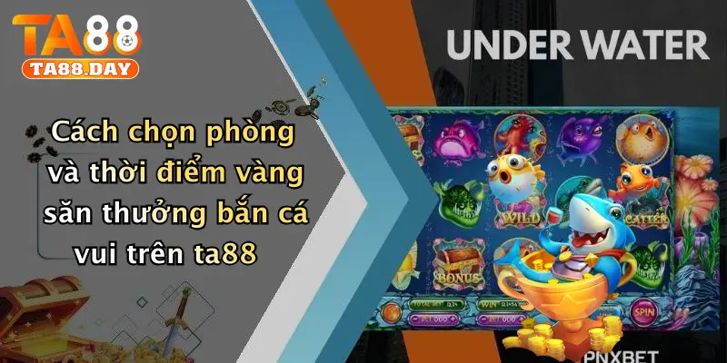 Cách chọn phòng và thời điểm vàng săn thưởng bắn cá vui trên TA88