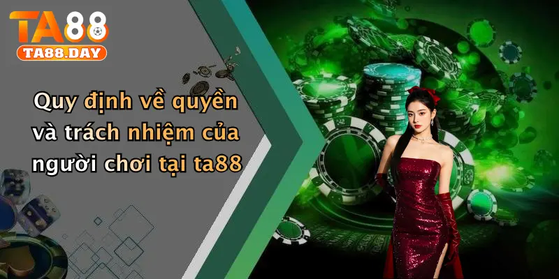 Quy định về quyền và trách nhiệm của người chơi tại TA88