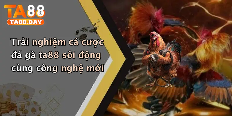Trải nghiệm cá cược đá gà TA88 sôi động cùng công nghệ mới